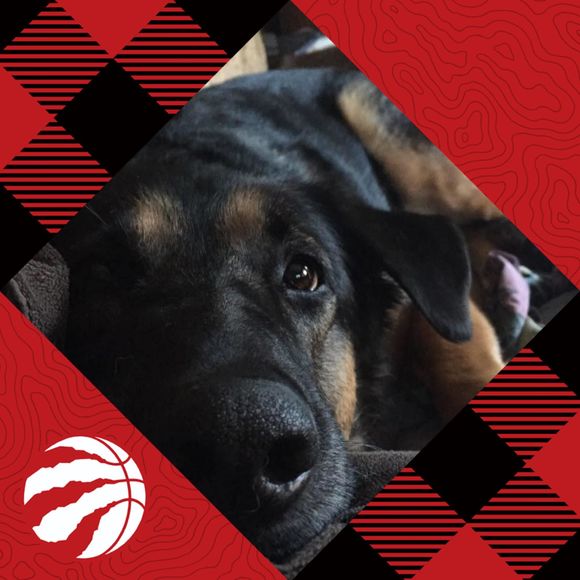 Meet your Posher, Deborah - Picture 1 of 1